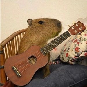 Meet your Posher, Barry